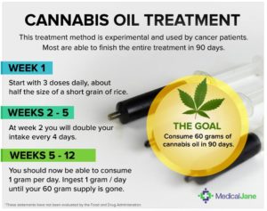 hemp oil vs cbd oil for dogs with cancer